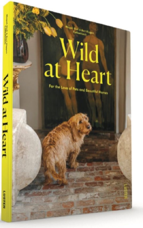 wild at heart book a battle to fight woman to recuse